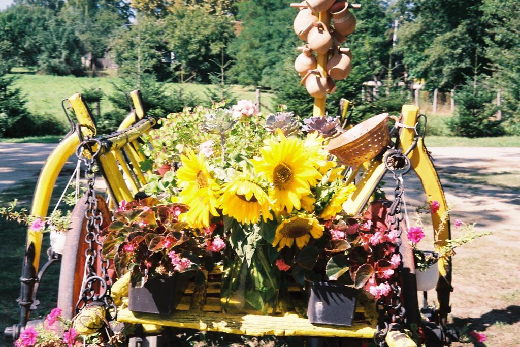 Vizimalom Kemping, Panzio Es Etterem Turistvandi 외부 사진